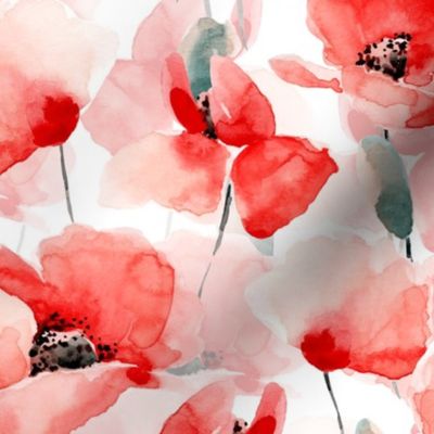 18" Poppy - Hand drawn watercolor poppies on white, botany poppies, vintage fabric