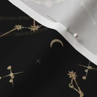 Gold Glitter Zodiac Constellations in Black