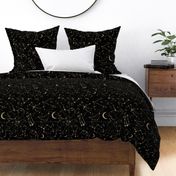 Gold Glitter Zodiac Constellations in Black