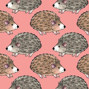 Hedgehogs (pink background)