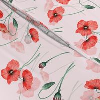 Wildflowers Poppies Poppy Flower Floral Summer Blossom Nursery Feminine double on blush pink