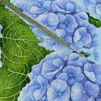 Blue hydrangea watercolor pattern