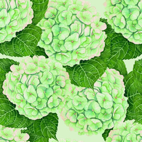 Hydrangea watercolor pattern