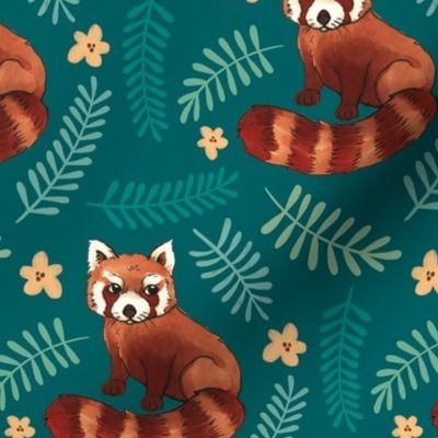 Red Pandas