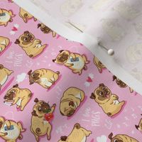 cutest pugs in pink_small