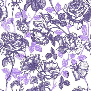 Violet and white Toile de Jouy roses