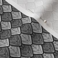 Dragon Scales - Black and White
