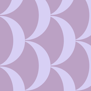scallop_crocus-lavender_arc