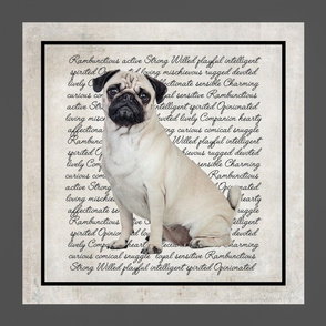 Pug Pillow/Quilt Panel