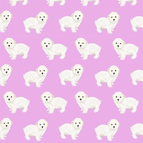 maltipoo dog fabric - cute white dog fabric, toy dog fabric, dog breeds fabric - purple
