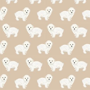 maltipoo dog fabric - cute white dog fabric, toy dog fabric, dog breeds fabric -tan