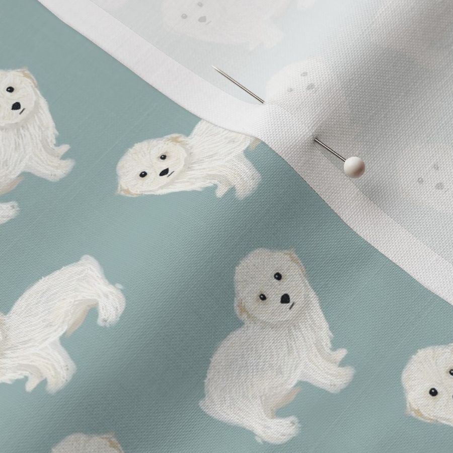 maltipoo dog fabric - cute white dog fabric, toy dog fabric, dog breeds fabric - blue