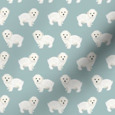 maltipoo dog fabric - cute white dog fabric, toy dog fabric, dog breeds fabric - blue