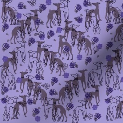 Purple Greyhounds