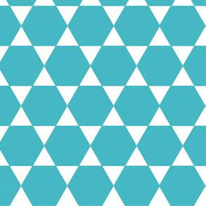 Turquoise Hexagon