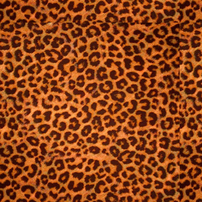 Animal Print Spots Orange Black