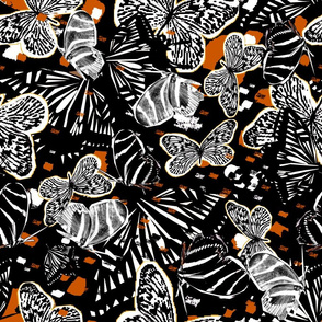 Zebra Butterflies Together 