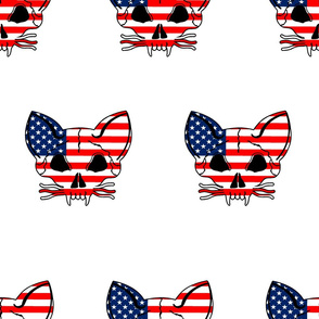 patriotic cat skulls