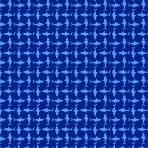 shark pattern 8