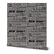 New Jersey cities,  standard gray