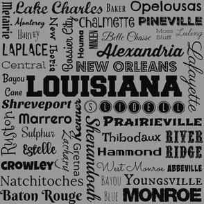 Louisiana cities, standard gray