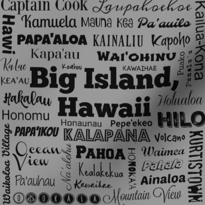 Cities of Big Island, Hawaii, standard gray