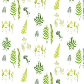 FernsWallpaper_1_Spoonflower