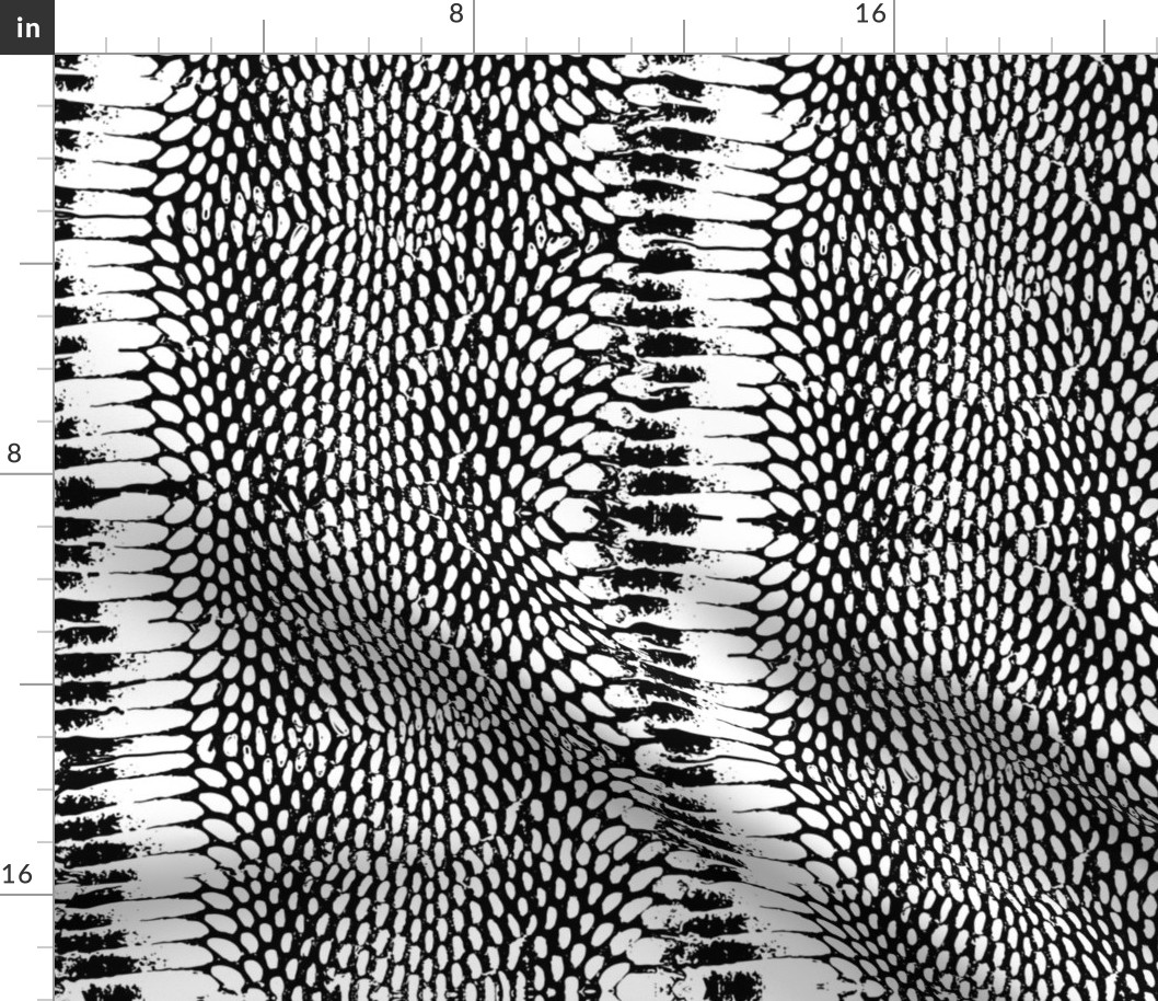 snake print scales texture black white 