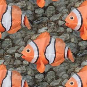 Clownfish Kites | Photorealistic Novelty Print