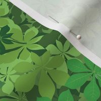 Ferns, Clovers and Leaves