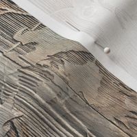 Maple Branch Wood | Photorealistic Wood Grain Print