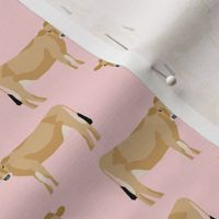 jersey cow fabric - farm animals fabric, cow fabric, cattle fabric, farm fabric, jersey cow print - pink