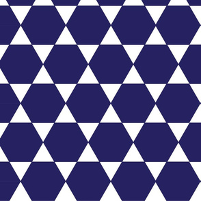 Dark blue hexagon