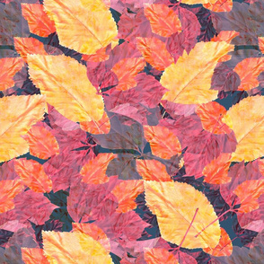 Autumn leaves