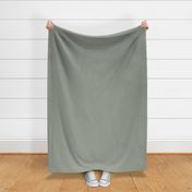 solid Plain Sage green color fabric and wallpaper