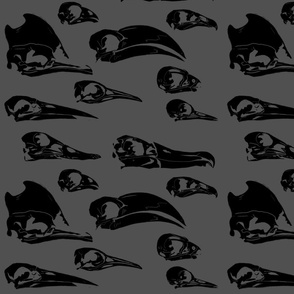 Bird skulls negative