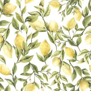 18 " Lemonade - Fresh hand drawn lemons on white - single layer