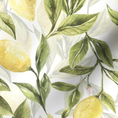 18 " Lemonade - Fresh hand drawn lemons on white - double layer