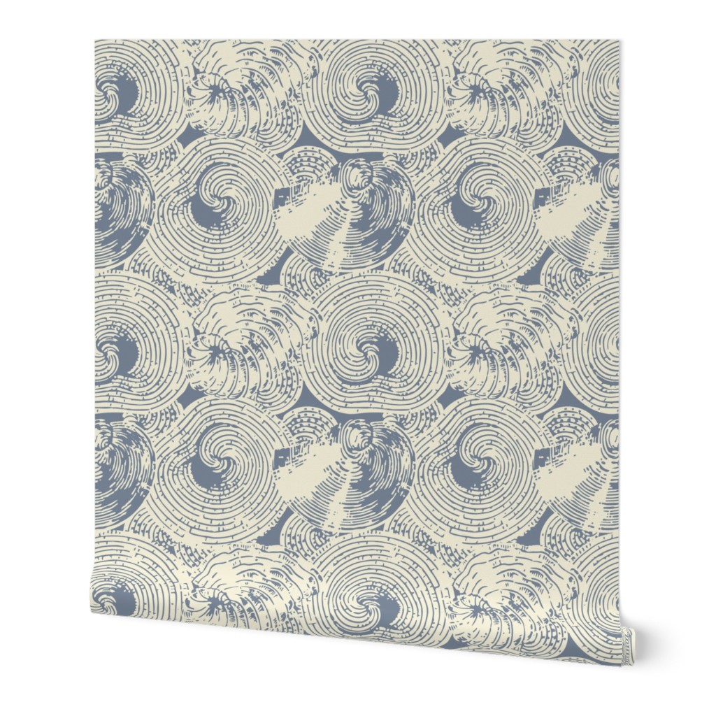 Shells in cream and blue-gray