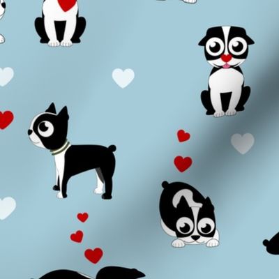 Valentine Boston Terrier