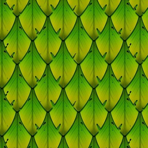 Leafy Scale A 1