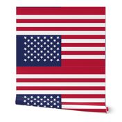 American Flag vertical