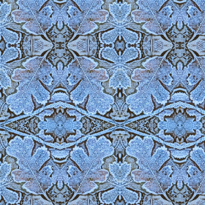Frost on Oak Leaves Lacy Fractal Pattern