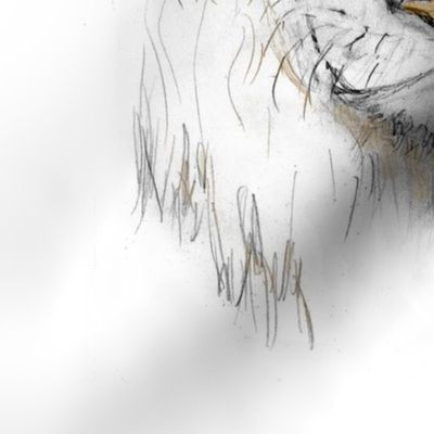 Custom Lion portrait tinted1