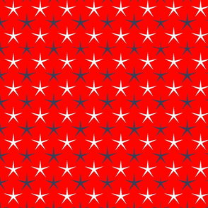 USA Stars Skinny on Red