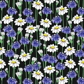 bachelor_buttons_and_daisies big