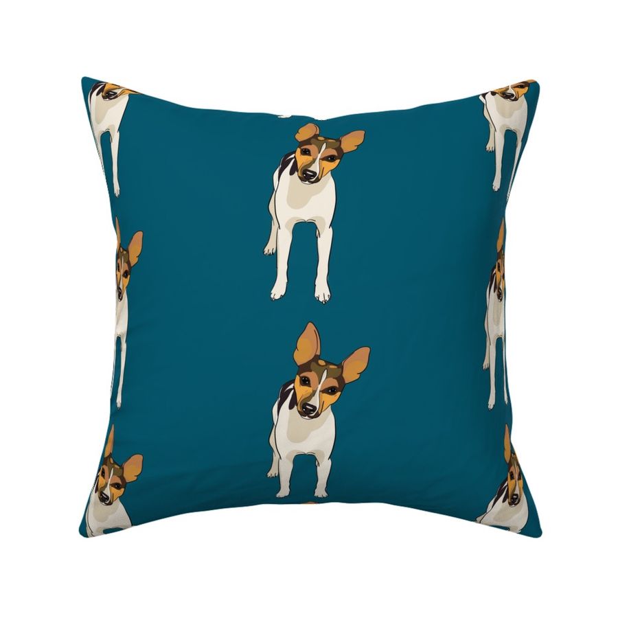 HOME_GOOD_SQUARE_THROW_PILLOW