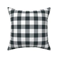 plaid_night_white