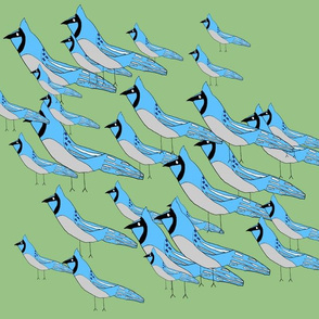 Larger Blue Jay Flock