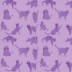 cute purple kittens